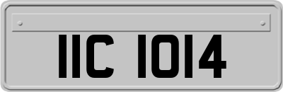 IIC1014