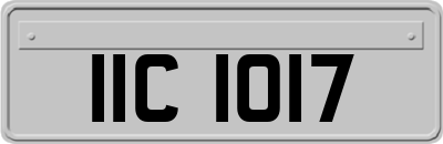 IIC1017