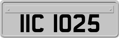 IIC1025