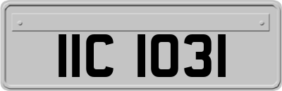IIC1031