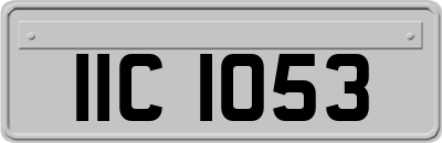 IIC1053