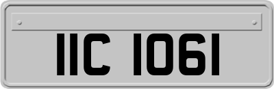 IIC1061