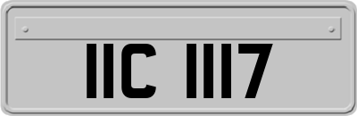 IIC1117