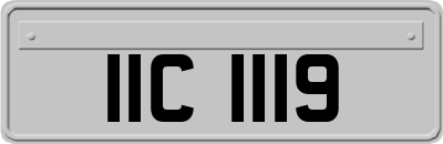 IIC1119