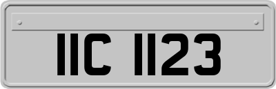 IIC1123