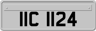 IIC1124