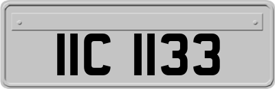 IIC1133