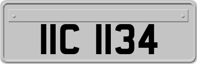 IIC1134