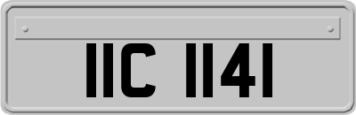 IIC1141