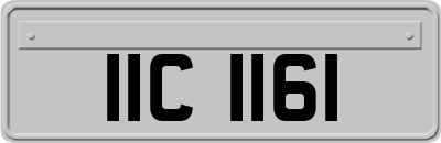 IIC1161