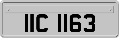 IIC1163