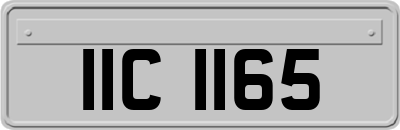 IIC1165