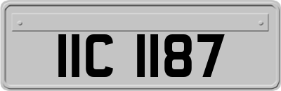 IIC1187