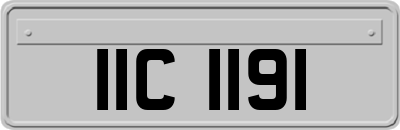 IIC1191