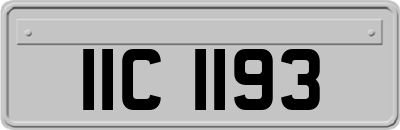 IIC1193