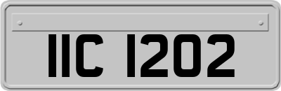 IIC1202