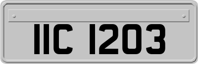 IIC1203