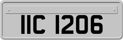 IIC1206