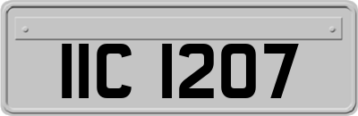 IIC1207