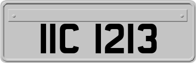 IIC1213