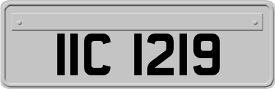 IIC1219
