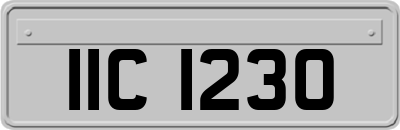 IIC1230