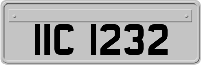 IIC1232