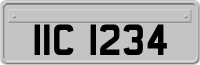 IIC1234