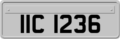 IIC1236