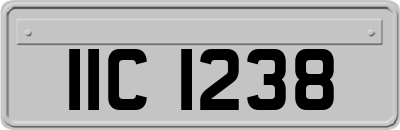 IIC1238