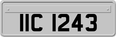 IIC1243