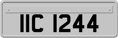IIC1244