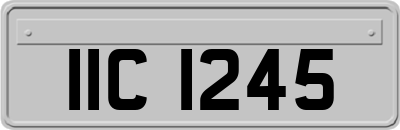 IIC1245