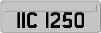 IIC1250
