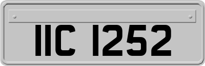 IIC1252