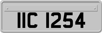 IIC1254