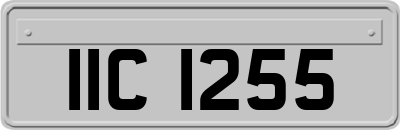 IIC1255