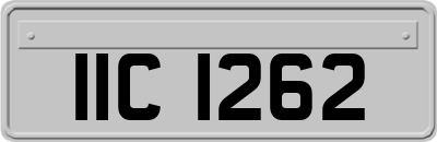 IIC1262