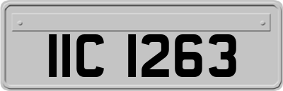 IIC1263