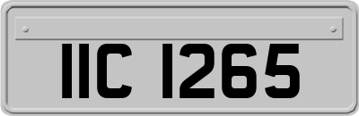 IIC1265