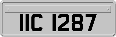 IIC1287