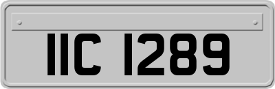 IIC1289