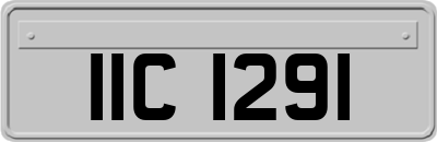IIC1291