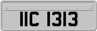 IIC1313