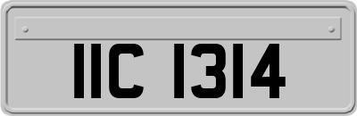 IIC1314