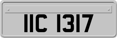 IIC1317