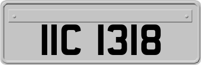IIC1318