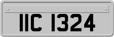 IIC1324
