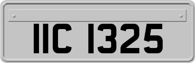 IIC1325