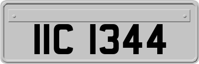 IIC1344